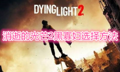 《消逝的光芒2》黑寡妇怎么选
