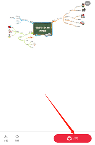 番茄少年官方版