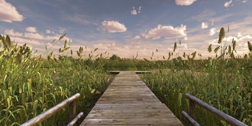 垂钓星球官方版(FishingPlanet)