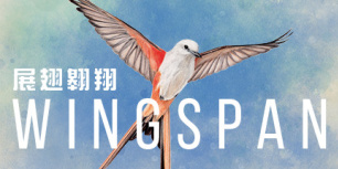 展翅翱翔