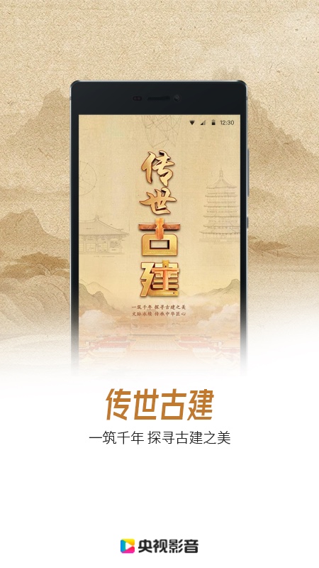 央视影音大字版