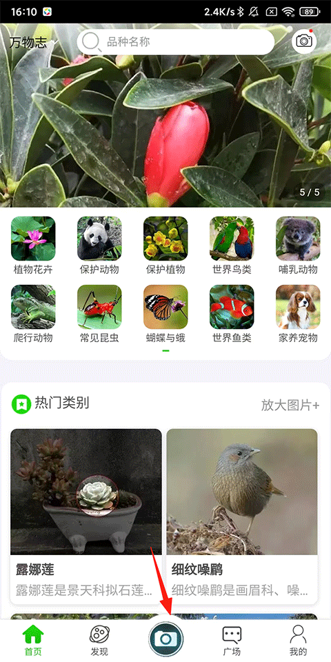 万物识别最新版