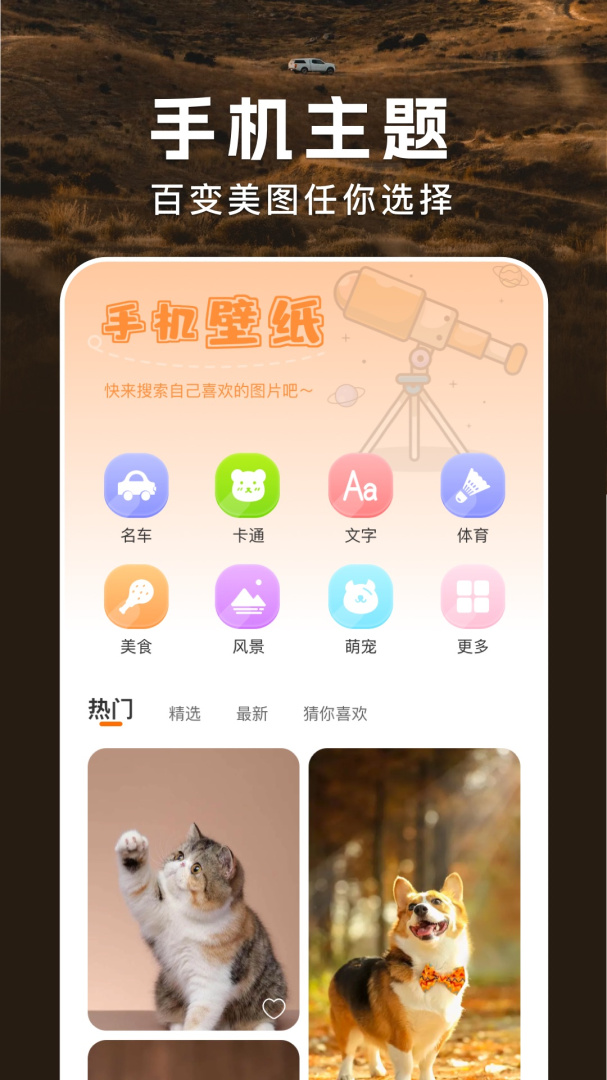 主题盒最新正版