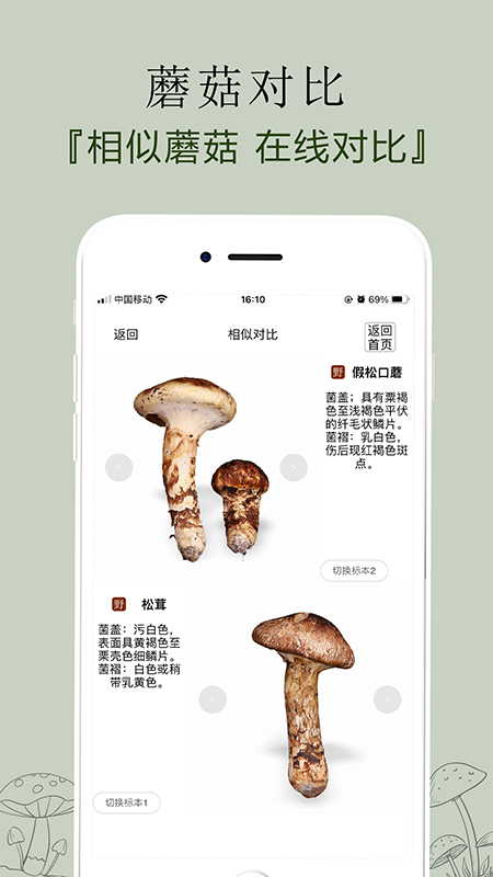 菌窝子官方正版