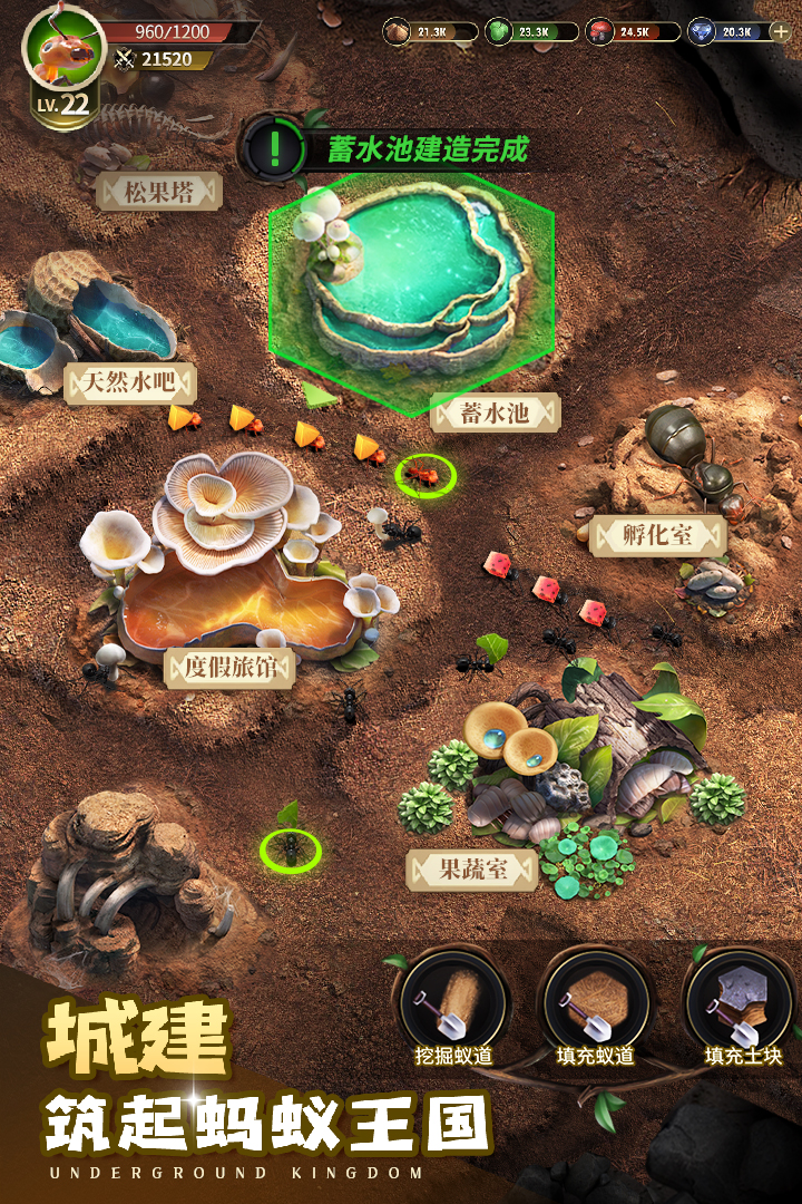 小小蚁国腾讯版