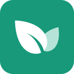 青藤之恋连麦版