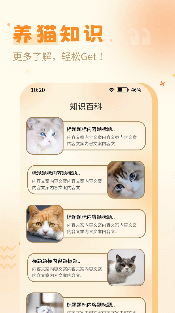 猫语翻译器