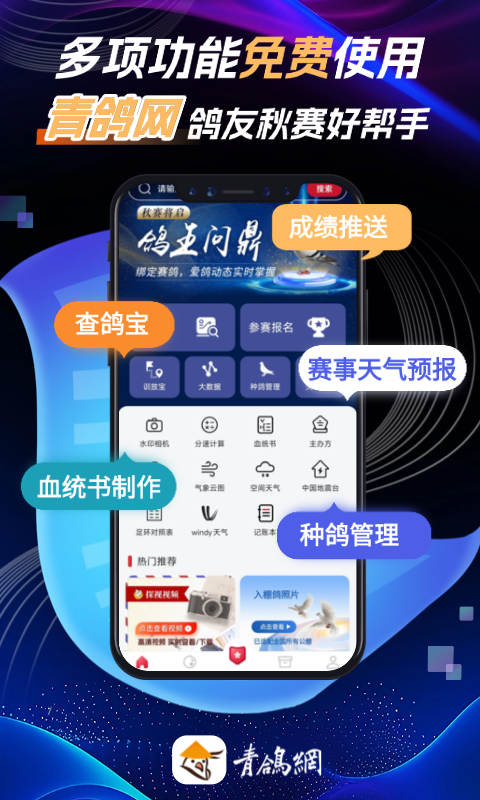 青鸽网app