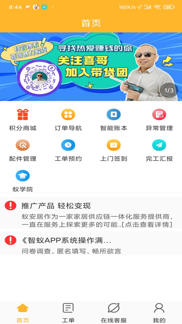 智蚁
