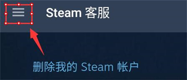 Steam官方正版中文版
