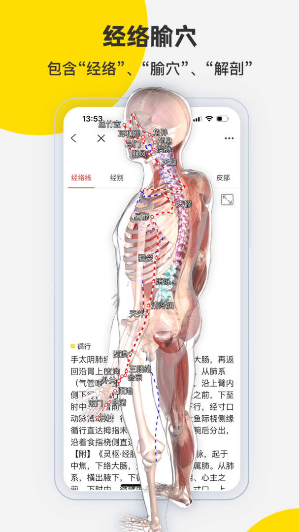 3DBody解剖官方版app