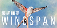 展翅翱翔