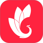 巅峰减重官方app