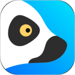 狐猴浏览器app官方版
