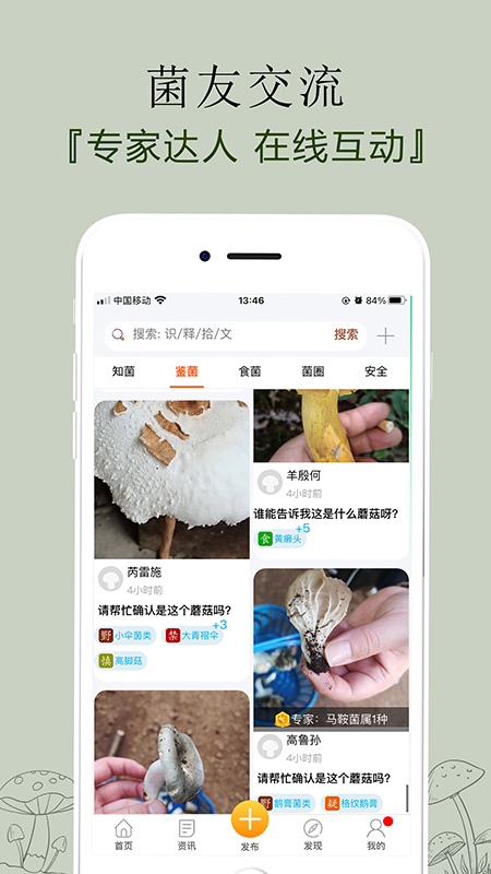 菌窝子官方正版