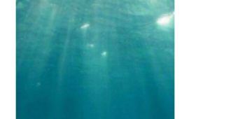 匹配聊天的社交