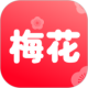 梅花视频vip版