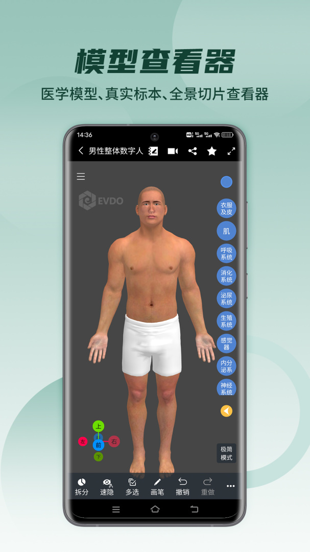 医维度解剖app
