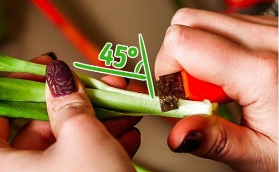 娟蝶鲜花官方版