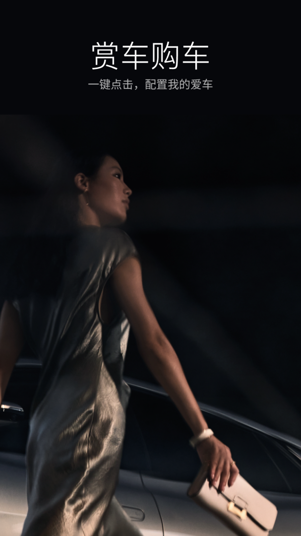 比亚迪汽车(改名比亚迪王朝)