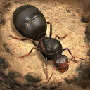 The Ants(小小蚁国国际版)