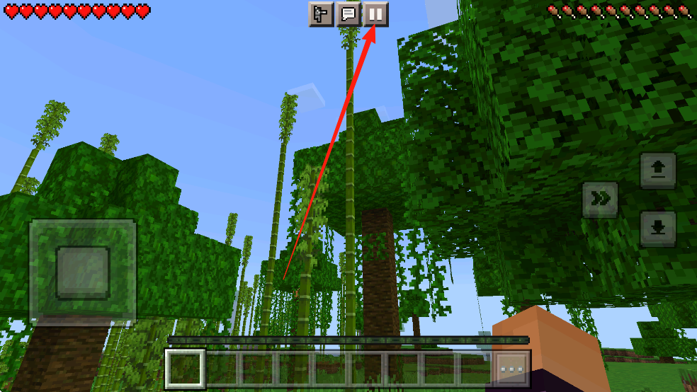 我的世界1.19基岩版