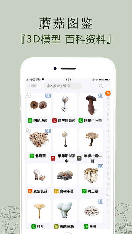 菌窝子官方正版