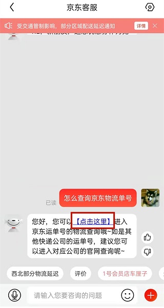 京东谷歌版app