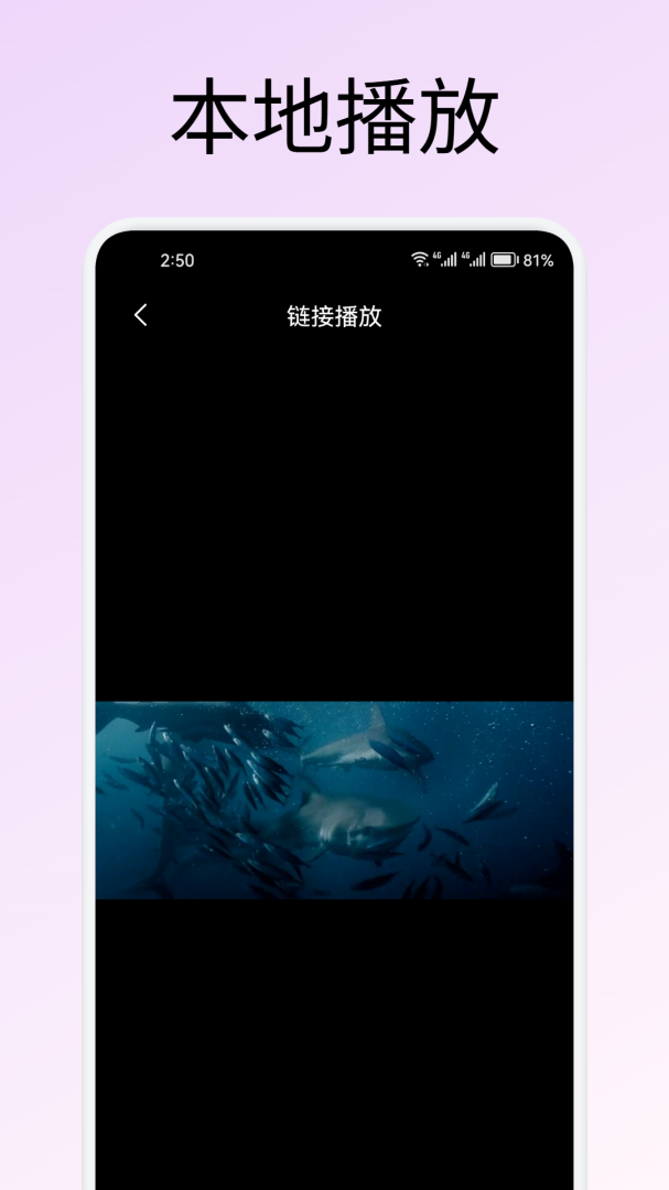 追剧豆
