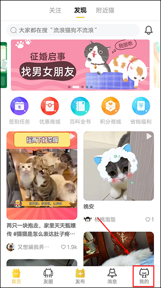 友猫最新版