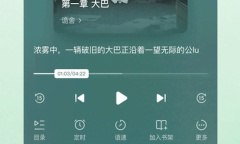 番茄免费小说字体大小怎么调