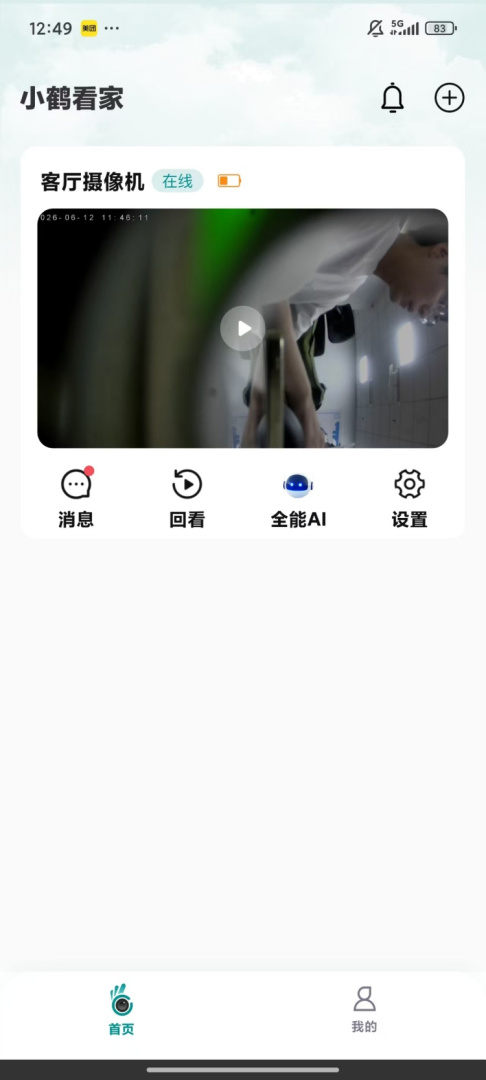 小鹤看家