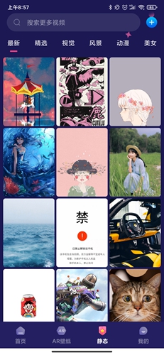 主题动态壁纸app