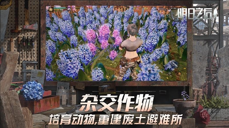 明日之后bilibili版