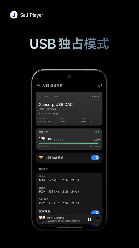 椒盐音乐车机版app