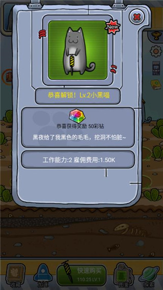 懒洋洋的宝藏猫最新版