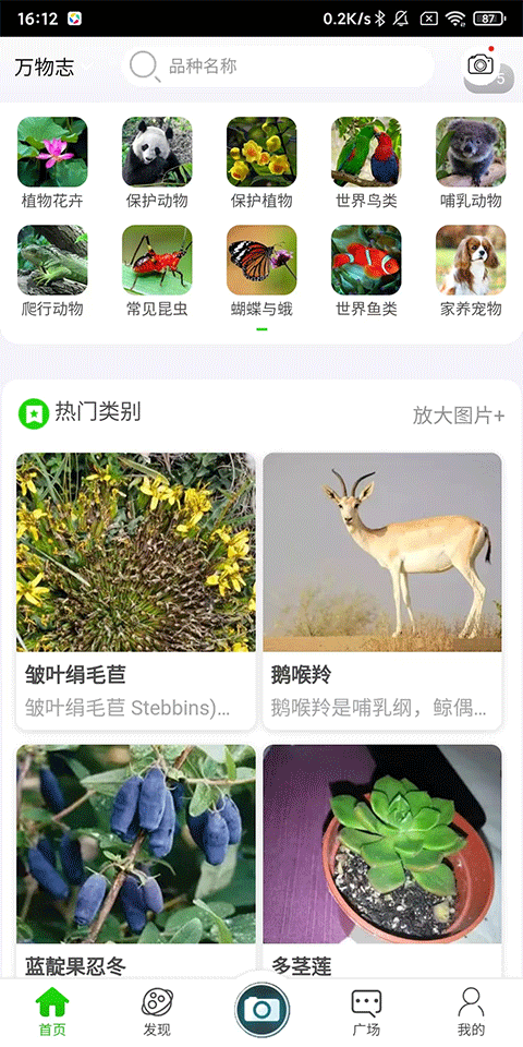 万物识别最新版