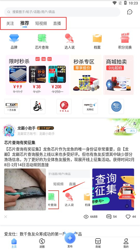 龙巅app