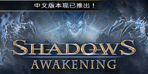 暗影：觉醒