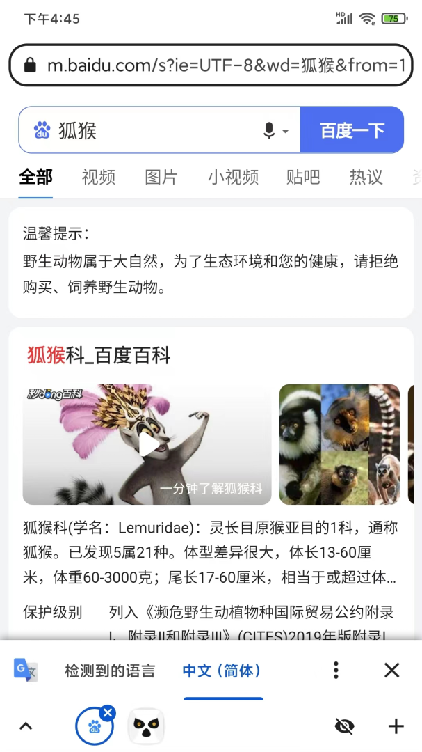 狐猴浏览器app官方版