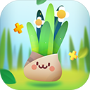 口袋植物测试服