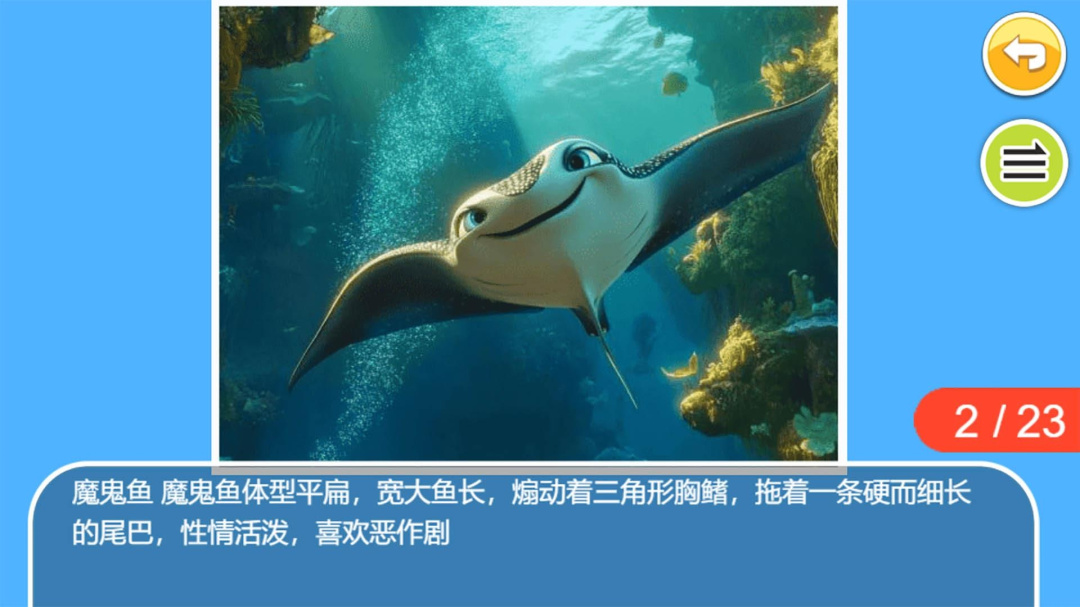 儿童宝宝海洋世界