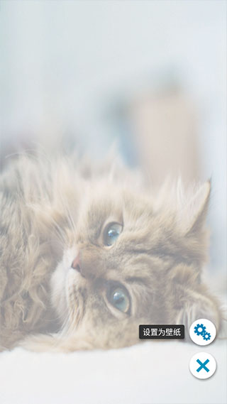 铃声壁纸大全app