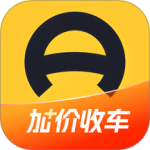 懂车帝大字版