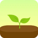 forest专注森林最新版本安装