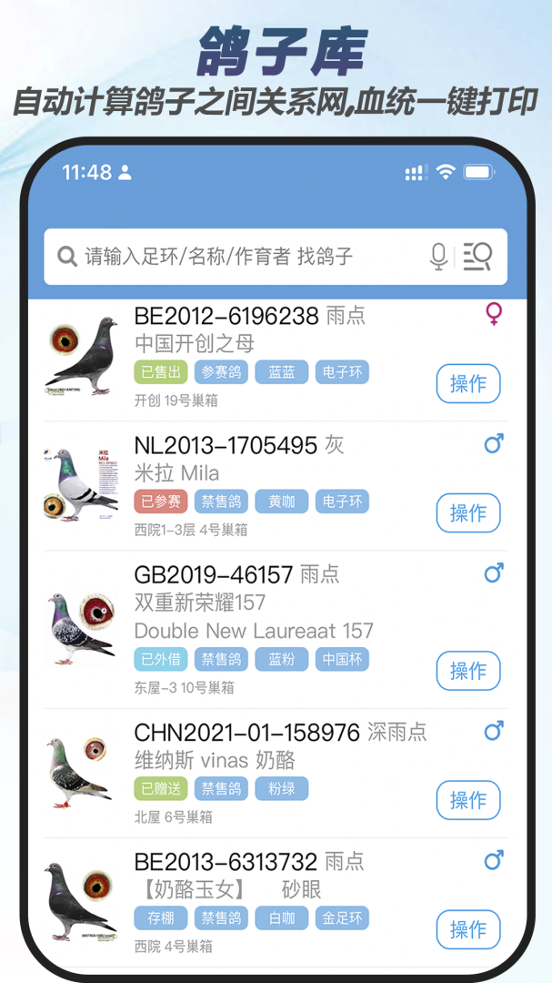 赛鸽云