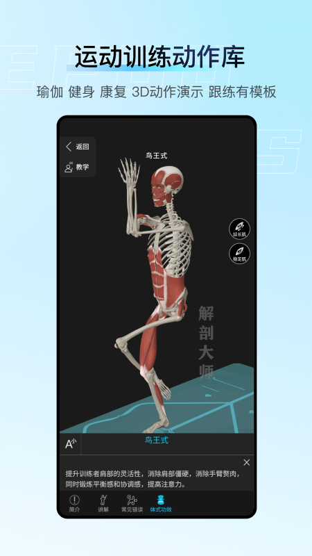解剖大师
