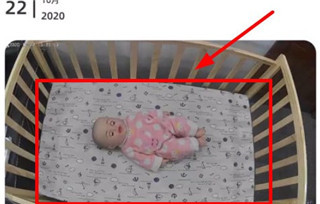 海马爸比最新版