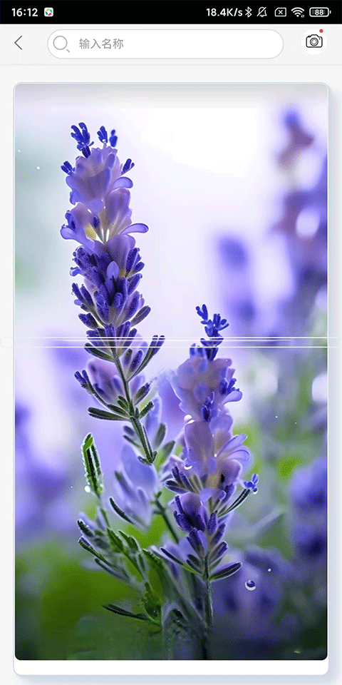 万物识别最新版