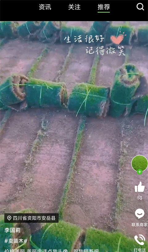 苗木通app